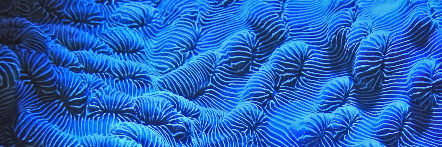 Nature Counts Foundation banner