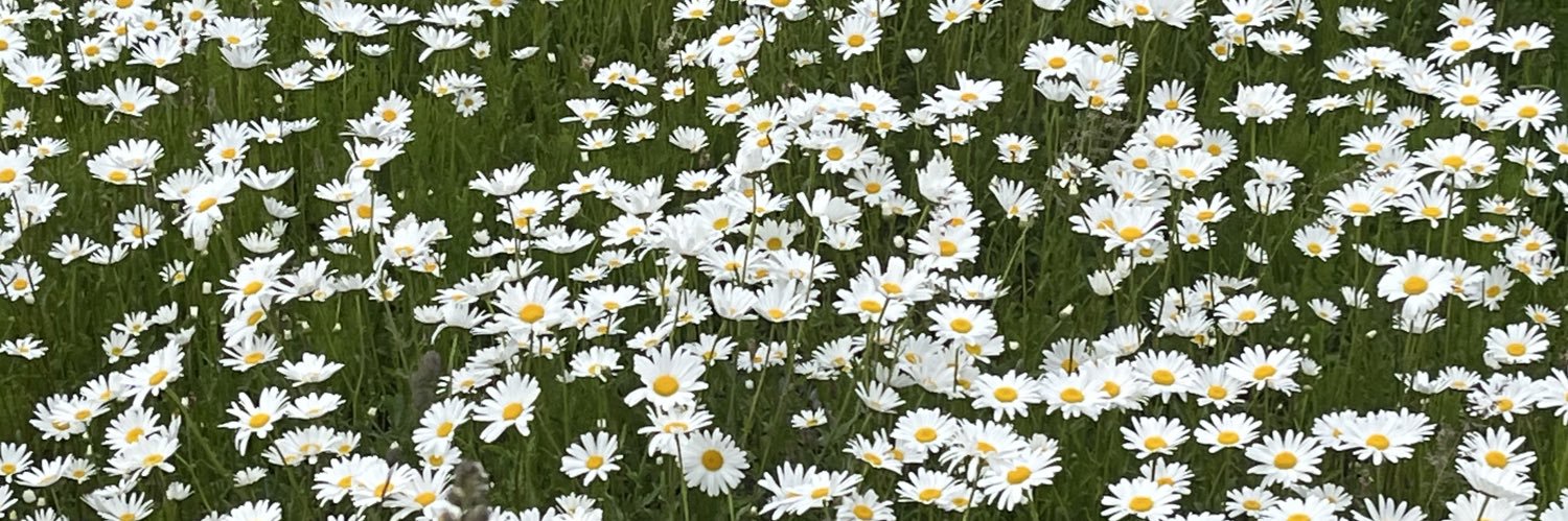 おちゃわん banner