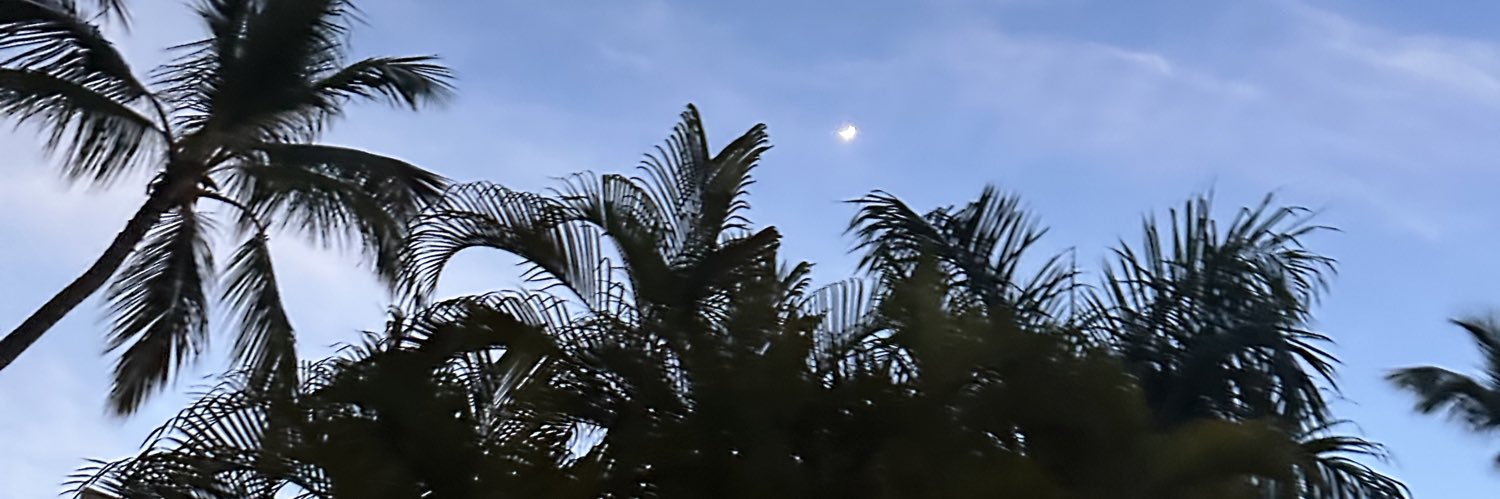 svvalenz banner
