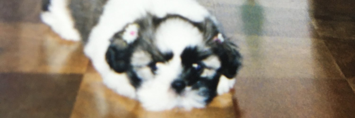 ぺ子 banner