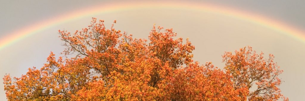 MDryeBecce's profile banner image