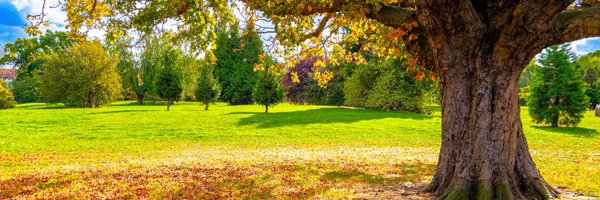 bbcweather Profile Banner