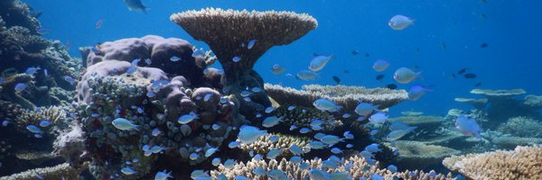 jordan_vink Profile Banner