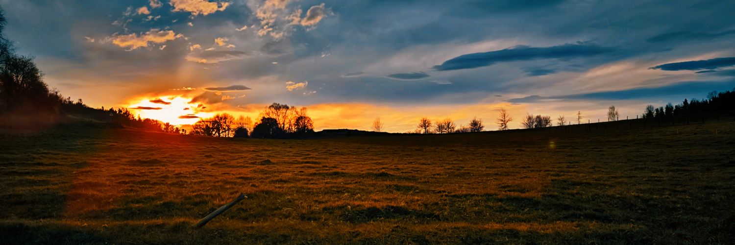 Andresn't 🌳 banner