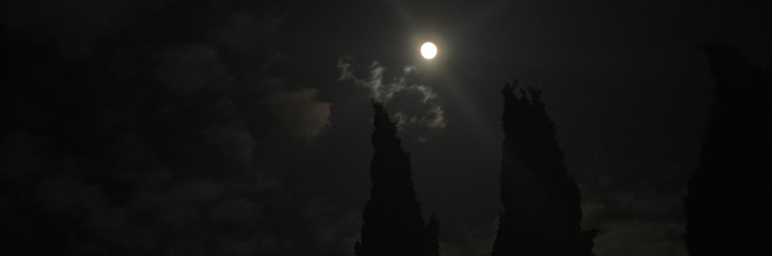 zwolf40's profile banner image