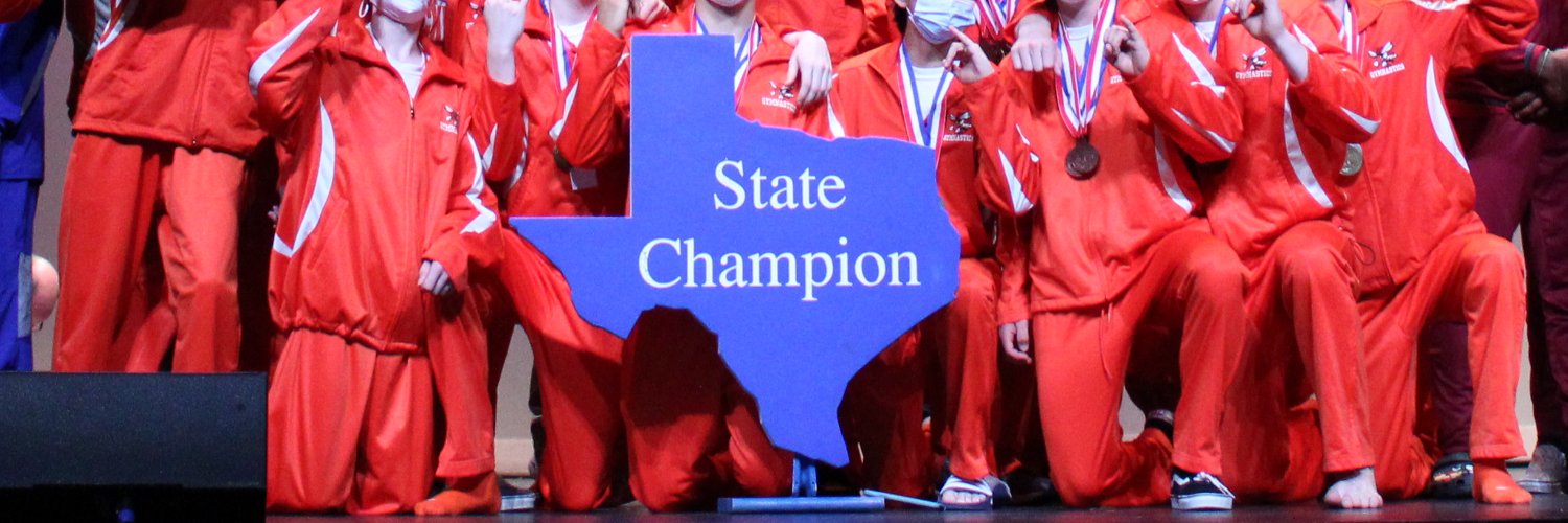RHS Men's Gymnastics banner