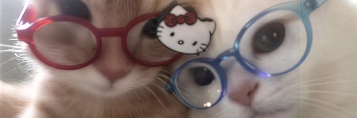 ⋆.ೃ࿔*:･𝐒𝐜𝐚𝐫𝐥𝐞𝐭𝐭ੈ✩‧₊˚ banner