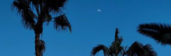 xianqing_liu Profile Banner