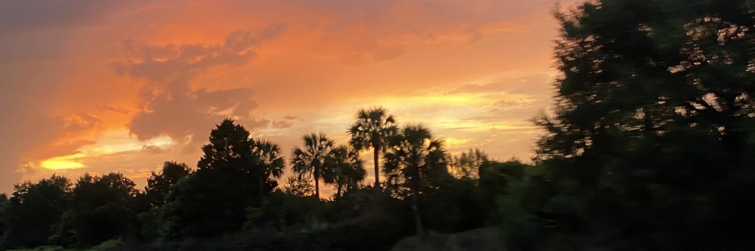 CalliePolce's profile banner image