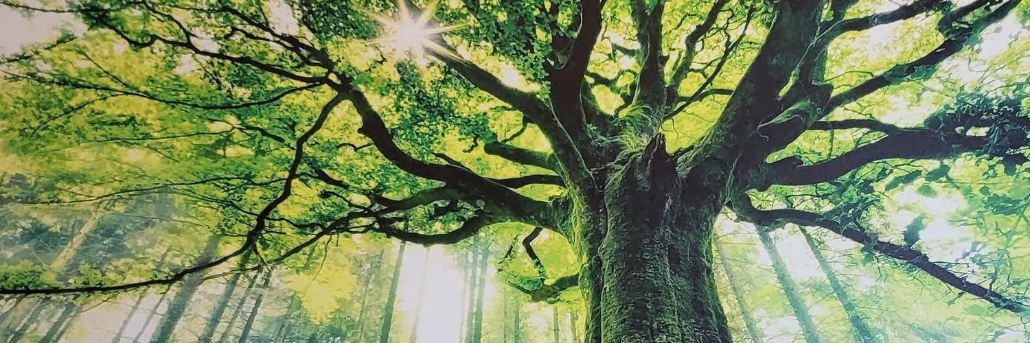 CourageRISING banner