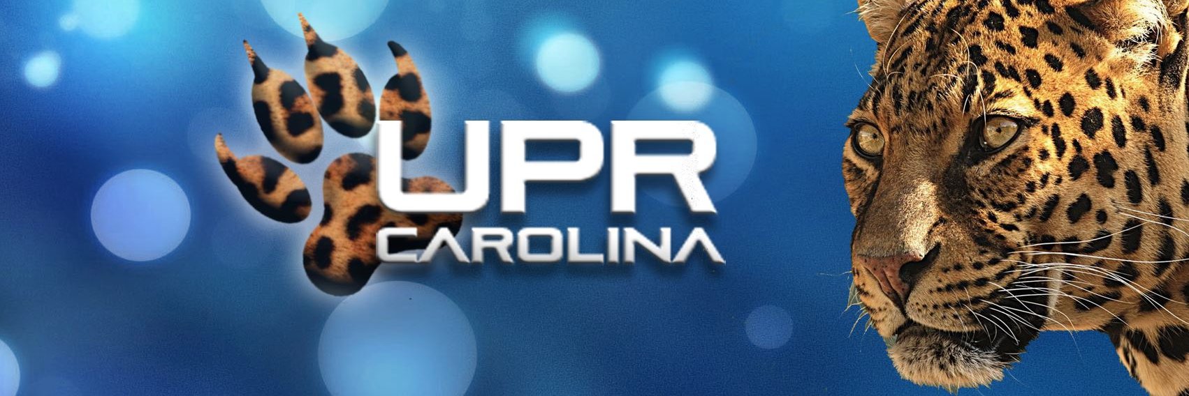 UprCarolinaCrep's profile banner image