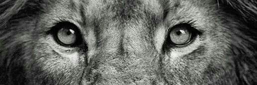 BescheAMPA's profile banner image