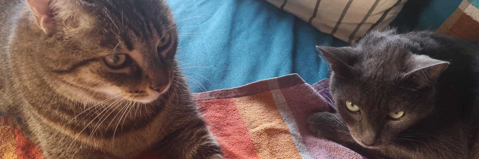 Luis JC 🦄🙌🏻 banner