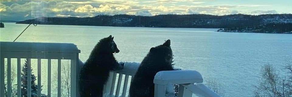 CFallahay's profile banner image