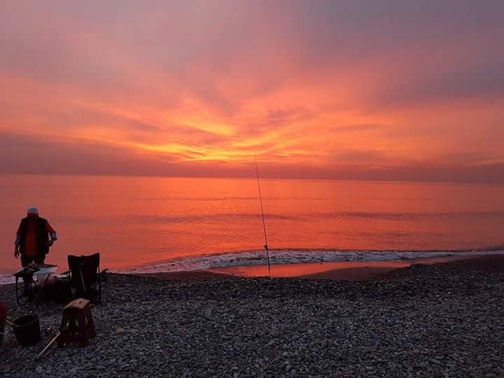 fyildiz1981's profile banner image