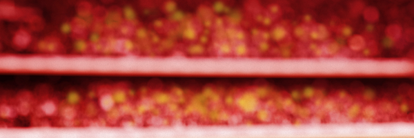 Rohan_VP Profile Banner