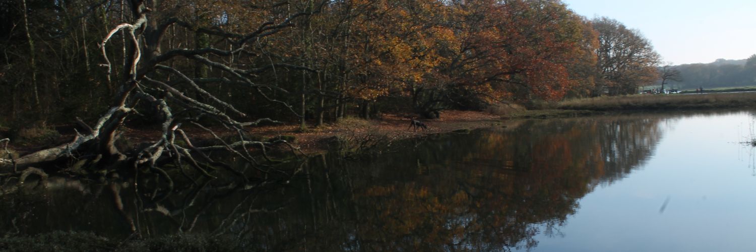 Super_Haydn's profile banner image