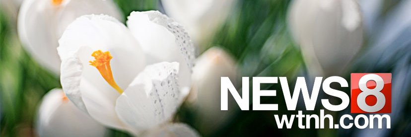 WTNH News 8's banner