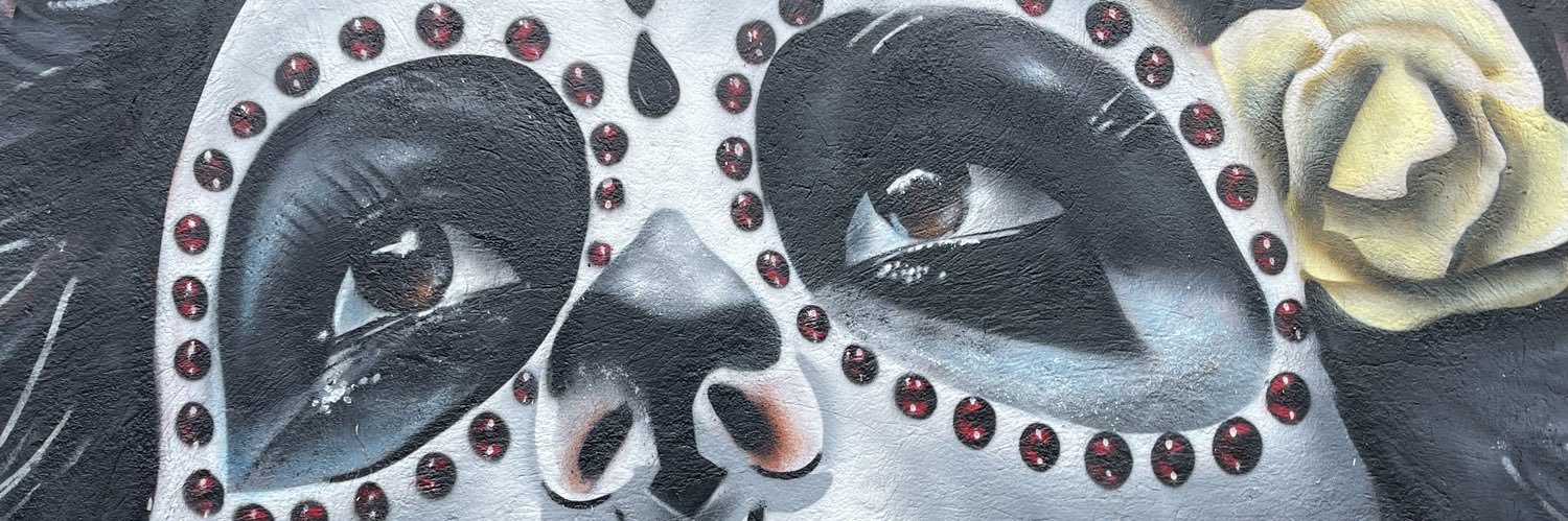 Mo Crypto banner