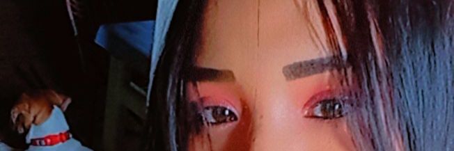 zuly meza banner