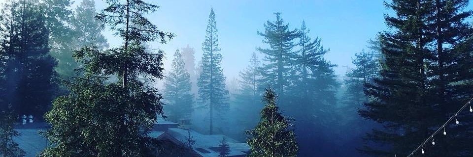 linseyk's profile banner image