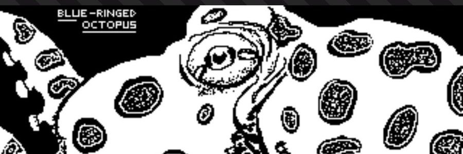 steampunked's profile banner image