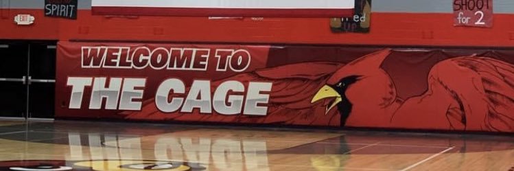 Loudonville Redbirds Athletics banner