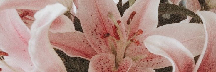 omgmarcellaaa's profile banner image