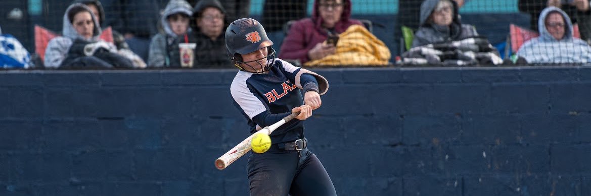 Alyssa “Goose” Barber banner