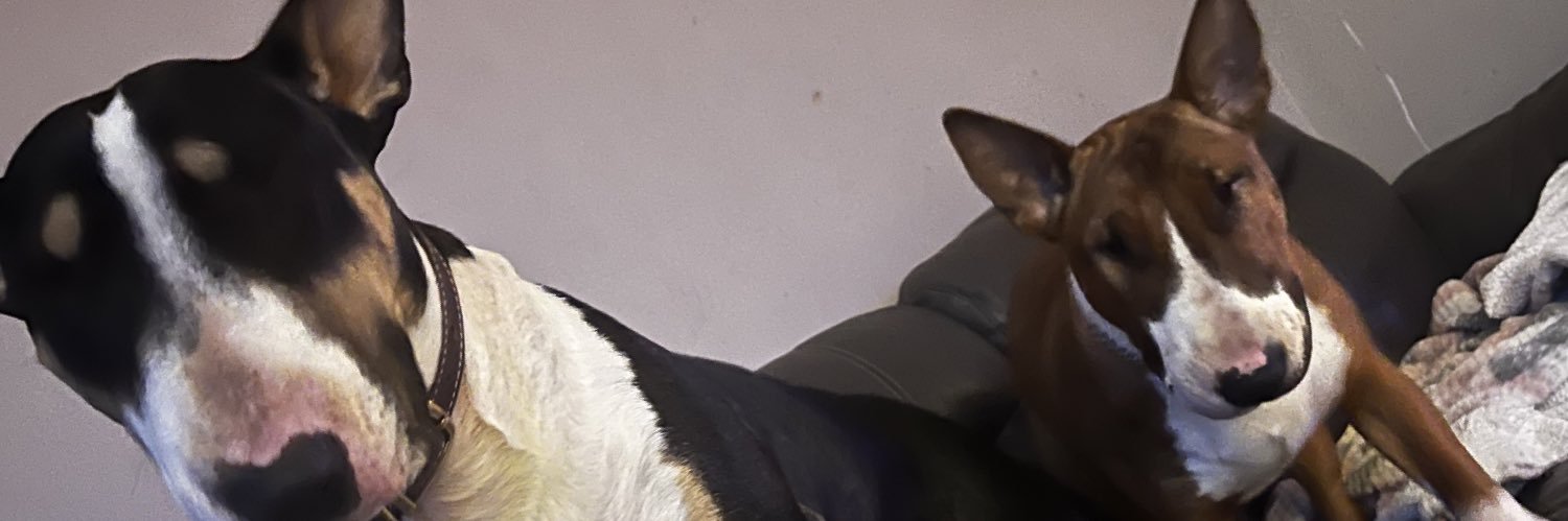 willducfuc's profile banner image