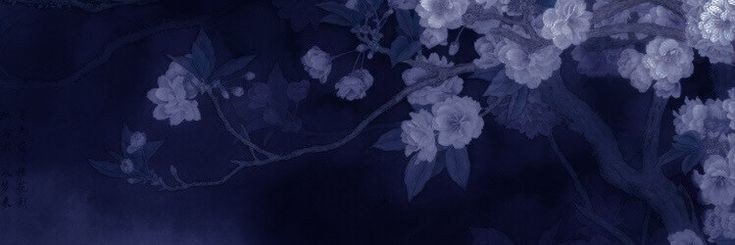 ari_npz's profile banner image