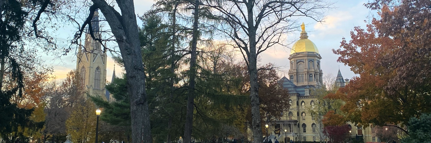 Louisa Conwill banner