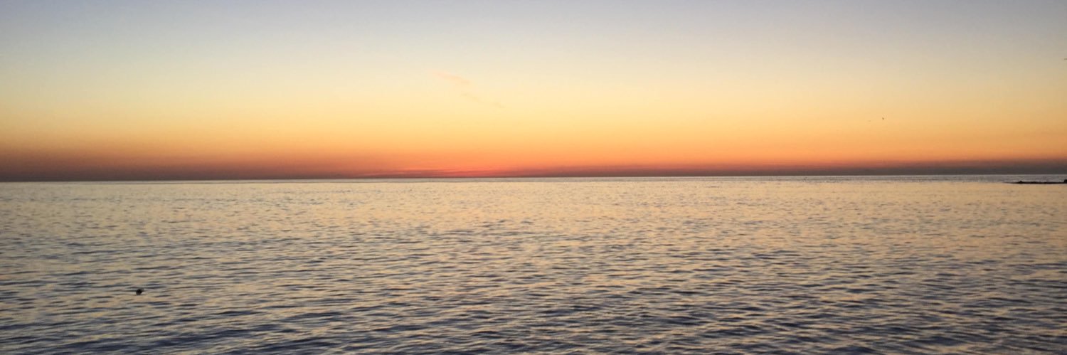 Alexandra Hardle banner