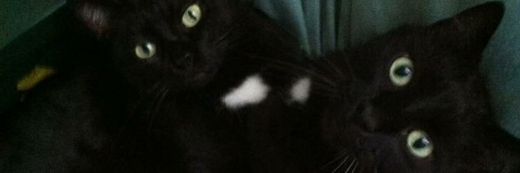 graziarizzolo banner