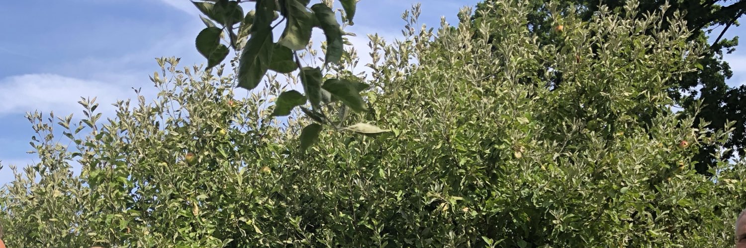 Per Callenberg banner