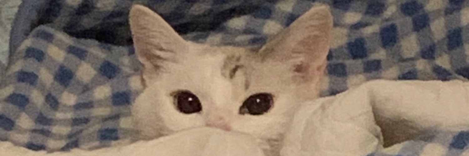 gmyo's profile banner image