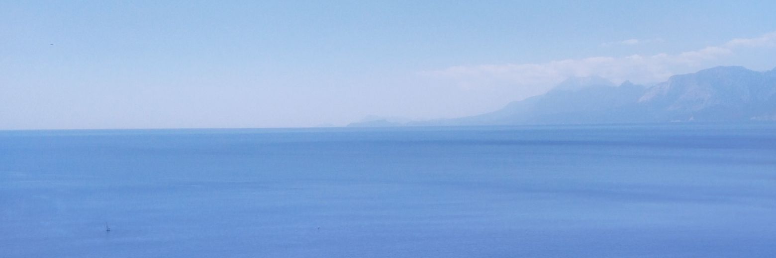 tayfun gümüş banner
