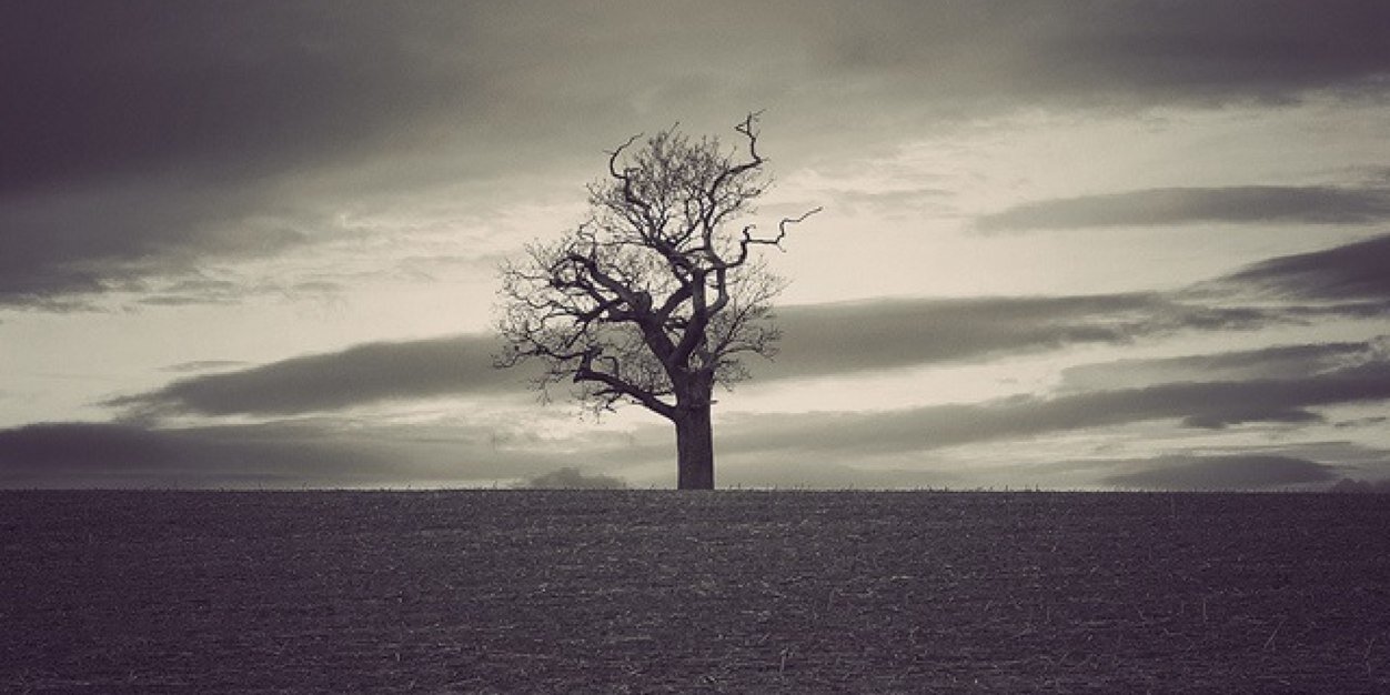 DesolateRadio's profile banner image