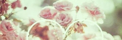 mariannirrs's profile banner image