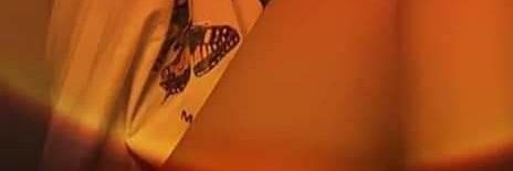 XxhWct1's profile banner image