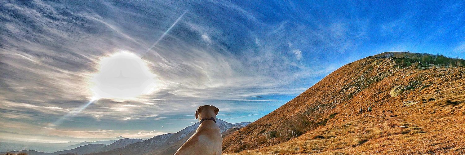 Cesare Sartore banner