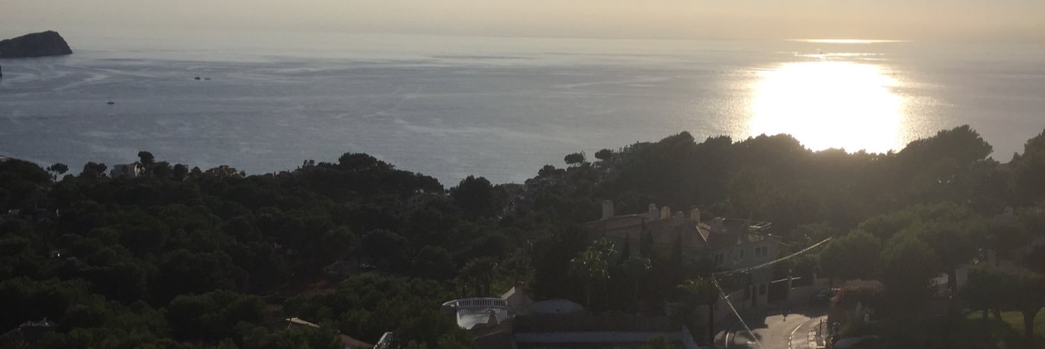 allison slater banner