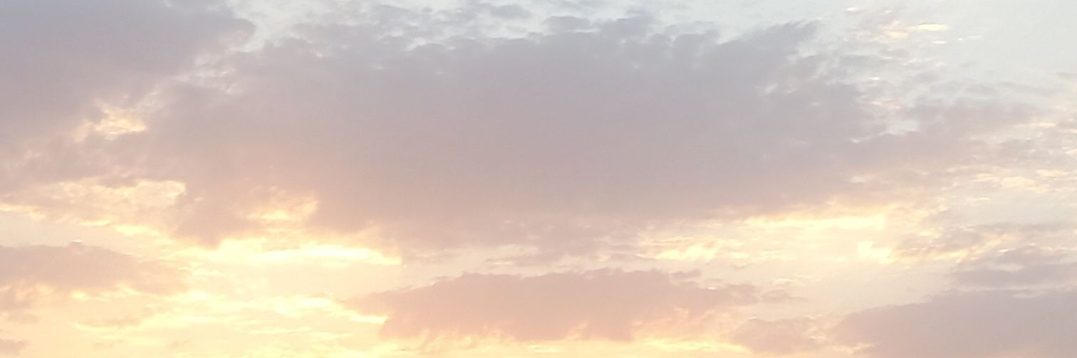 MSAsudan's profile banner image