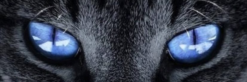 K. banner