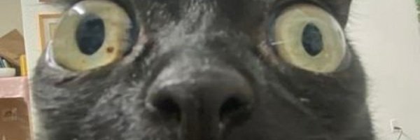 ARTZcs Profile Banner