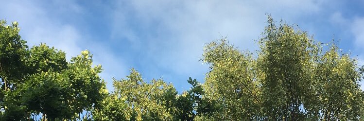 BarreledJr's profile banner image