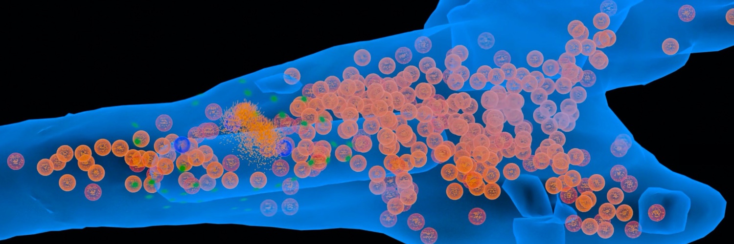 De Schutter Erik banner