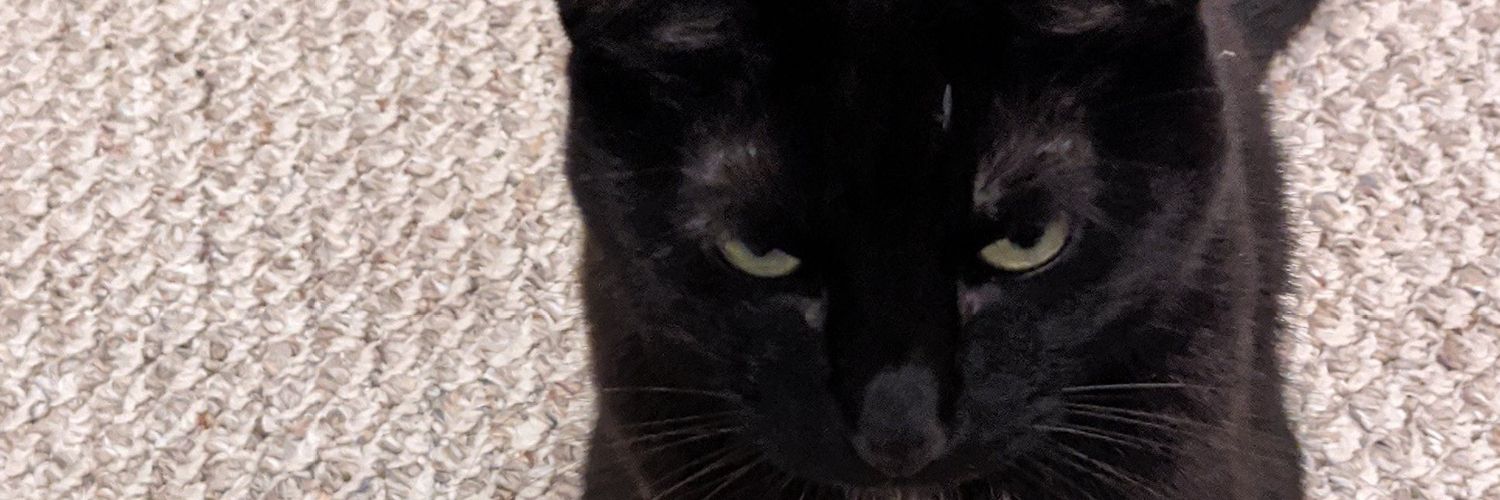 SlickThik's profile banner image