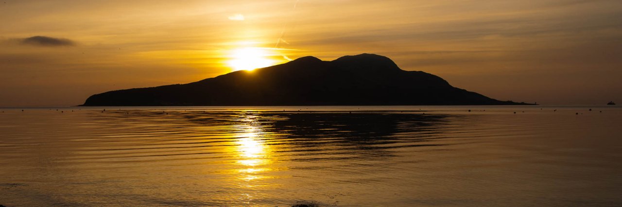 Cams Campbell banner