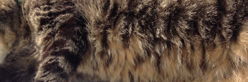 manbou40404's profile banner image